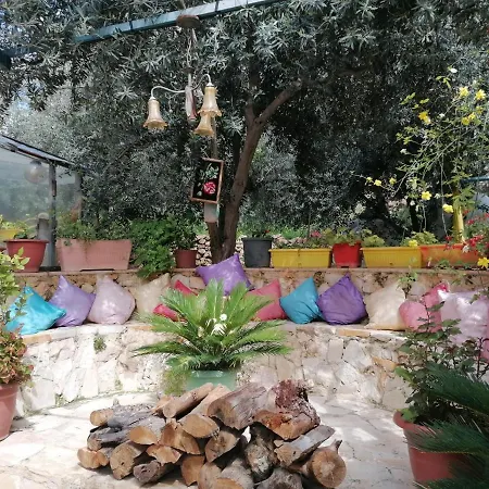 بيت الطبيعة Nature House Gerasa Exterior foto