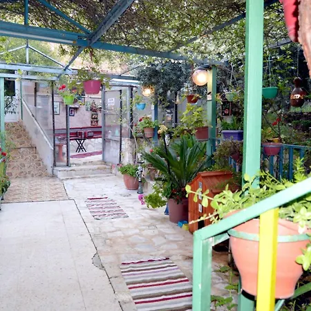بيت الطبيعة Nature House Gerasa Exterior foto
