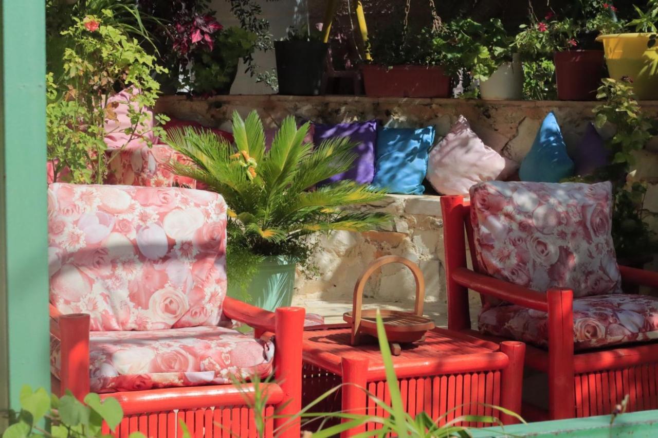 الطبيعة Nature House Apartment